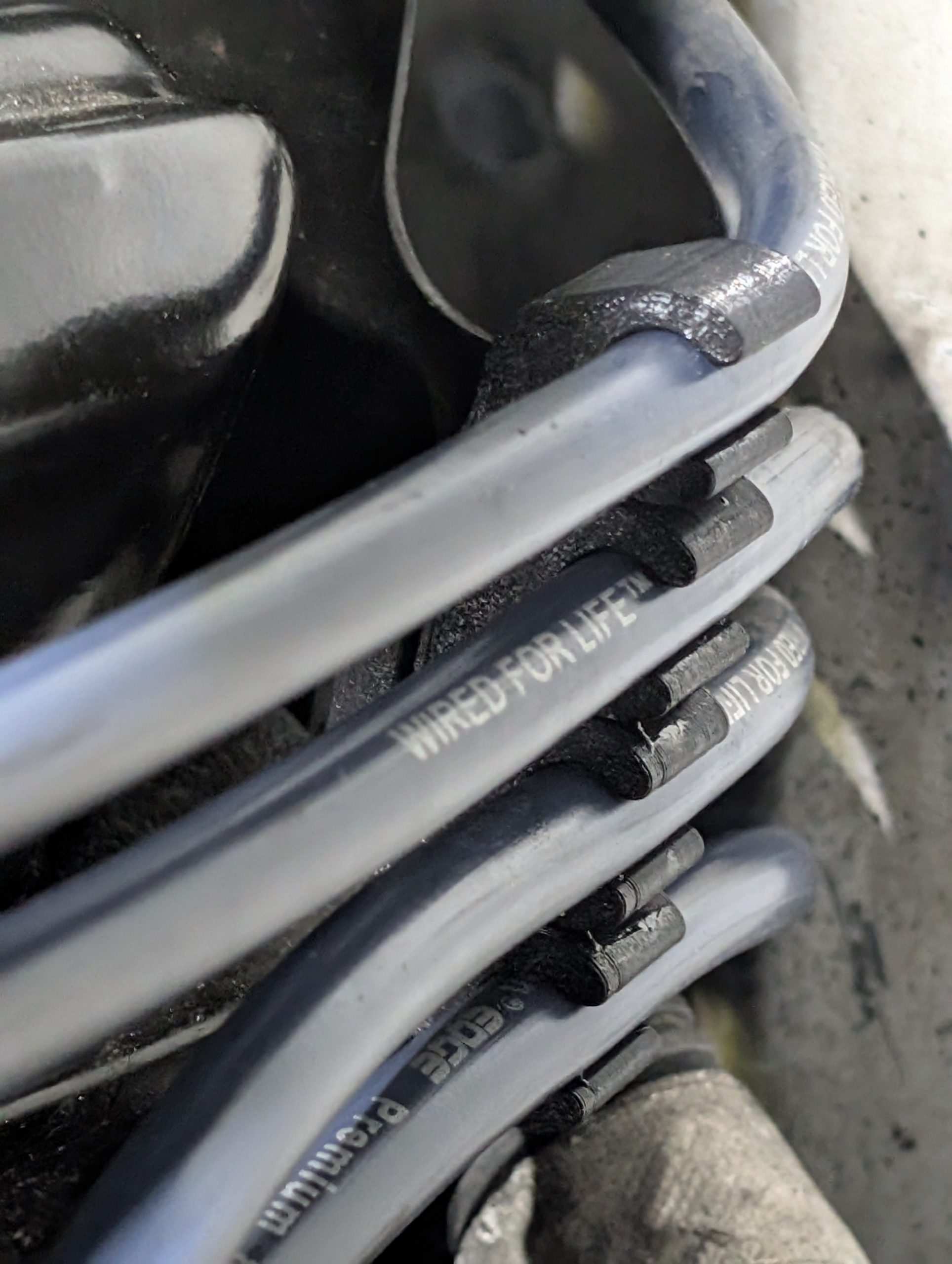 PXL_20251203_230524833